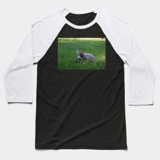 Red Eared Slider Turtle in Grass Baseball T-Shirt